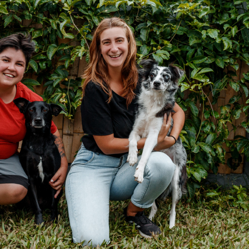 Jade Amorim Sócia Fundadora e Chefe Administrativa. Especialista em comportamento canino. Responsável pela comunicação com tutores e clientes, desenvolveu a metodologia própria da DH Creche Escola.