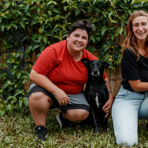 Maíra Ferro Sócia fundadora e Monitora Chefe. Terapeuta Canina, atua na rotina prática da creche, com foco em manejo, treinamentos, formação de matilhas equilibradas e lidera os monitores do pátio.