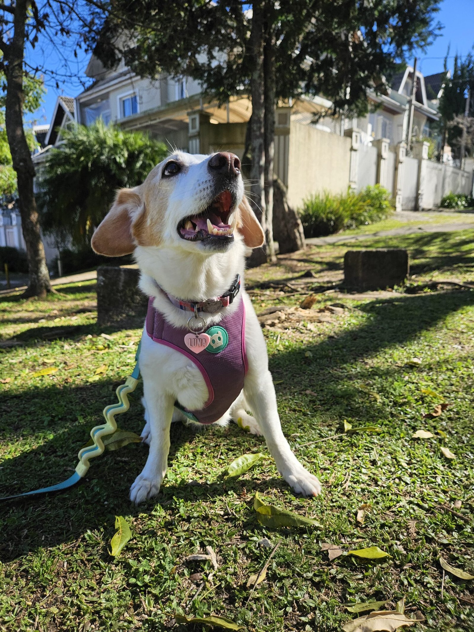 Passeios e cuidados